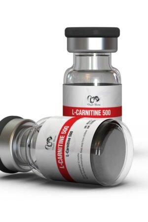 L-Carnitine 500